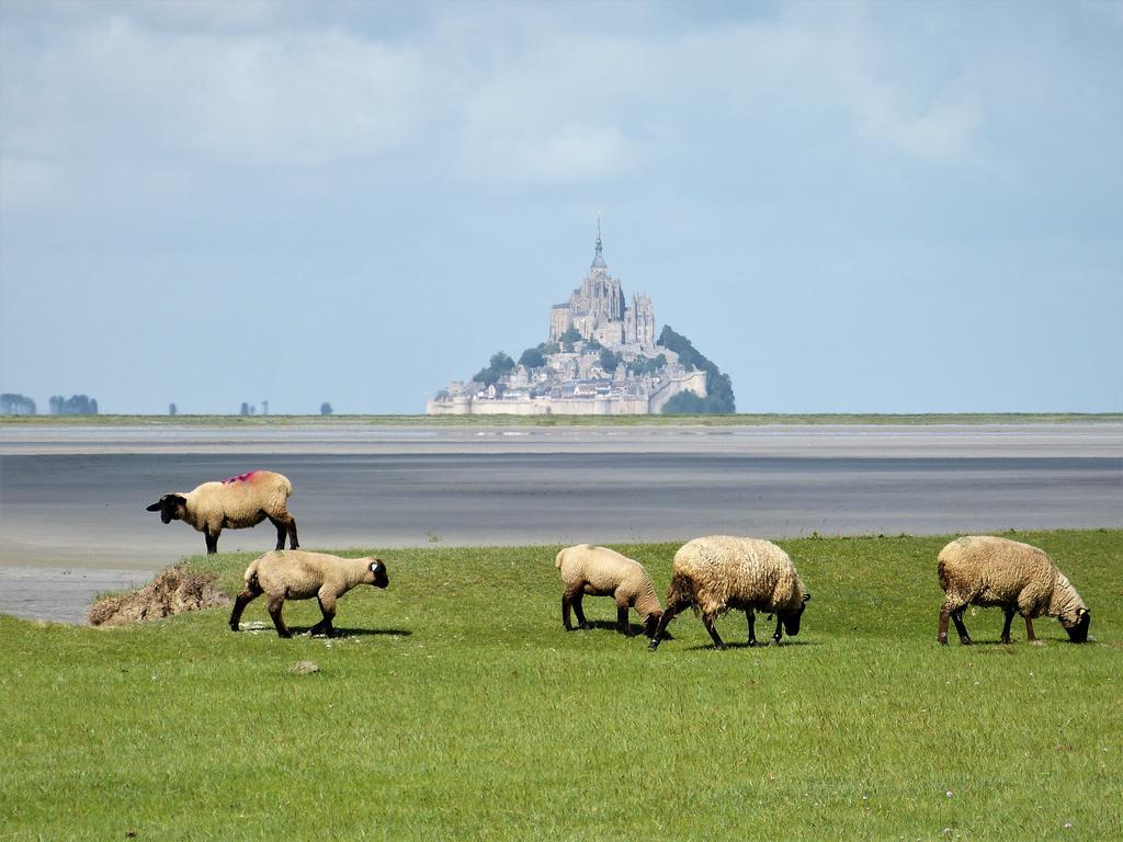 Le Diamant Villa Le Minihic-sur-Rance Luaran gambar